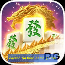 coelho fortune demo grátis