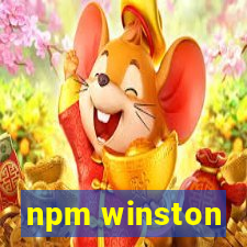 npm winston