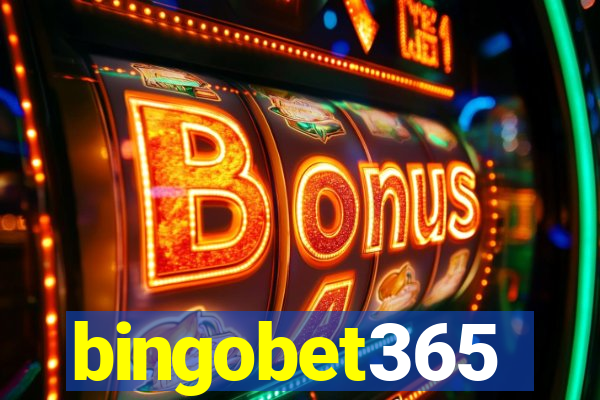 bingobet365