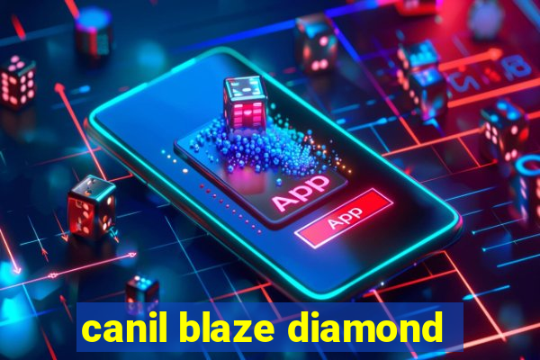 canil blaze diamond