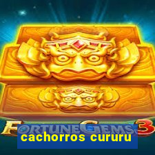 cachorros cururu