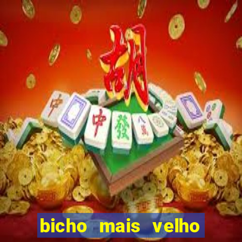 bicho mais velho da loteria dos sonhos