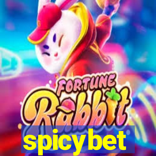 spicybet-3.com